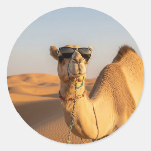 Pegatina Redonda Camello con gafas de sol Arabia Saudita Viaje