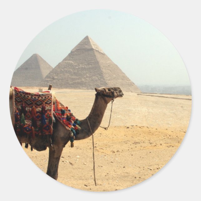 Pegatina Redonda camello piramidal (Anverso)