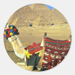 Pegatina Redonda Camello y pirámides, El Cairo, Egipto