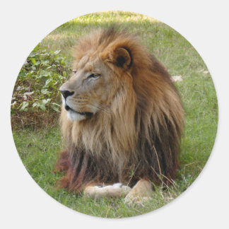 Pegatina Redonda Cameron 3 11x11