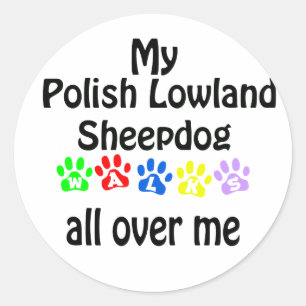 Pegatina Redonda Caminata de Lowland Sheepdog polaco