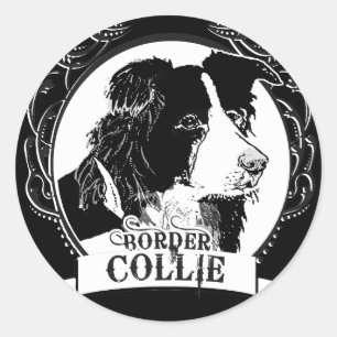 Pegatina Redonda Camiseta Collie de borde