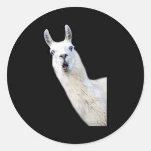Pegatina Redonda Camiseta de mujer llama amor Llama amantes para ni