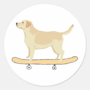 Pegatina Redonda Camiseta divertida para regalar a perro labrador h