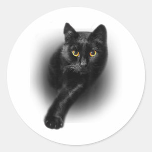 Pegatina Redonda Camiseta Gato Negro Ojos Amarillos Tee Gatos