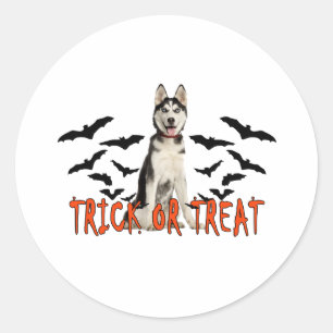 Pegatina Redonda Camisetas Siberian Husky Trick T.png