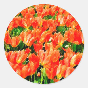 Pegatina Redonda campo naranja de tulipanes