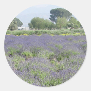 Pegatina Redonda Campos de la lavanda