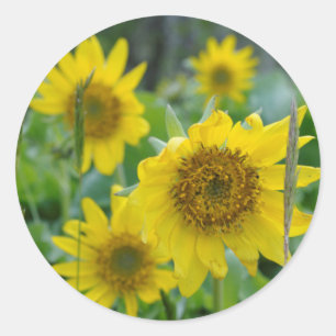 Pegatina Redonda Canadá, Columbia Británica, Isla de Vancouver 5