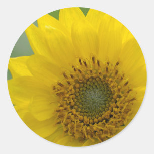 Pegatina Redonda Canadá, Columbia Británica, Isla de Vancouver 7