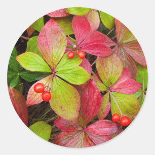 Pegatina Redonda Canadá, Columbia Británica, Monte Robson