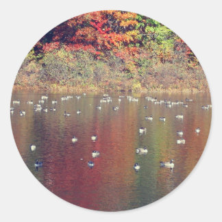 Pegatina Redonda Canadá Geese En La Naturaleza De Otoño 