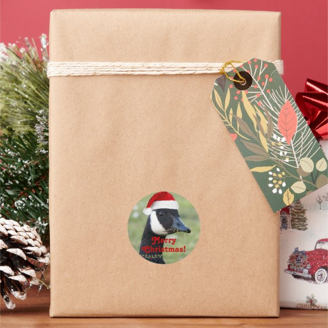 Pegatina Redonda Canadá Goose con vacaciones de Red Santa Hat (Vacaciones)