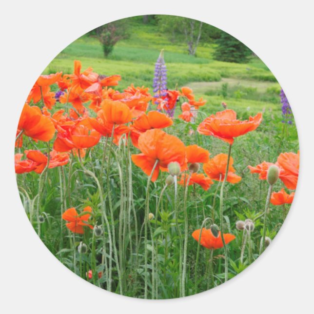 Pegatina Redonda Canadá, Nueva Brunswick, . Apaisado (Anverso)