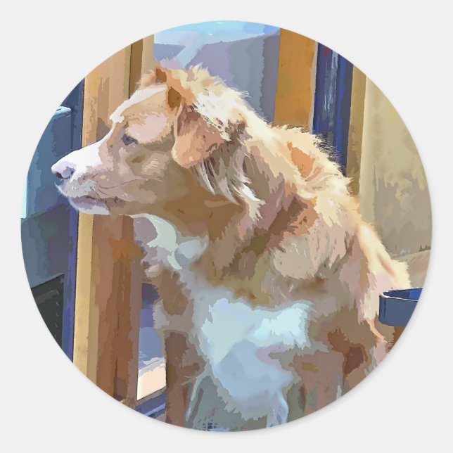 PEGATINA REDONDA CANALES (Anverso)