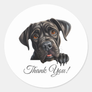 Pegatina Redonda Cane Corso Dog Gracias