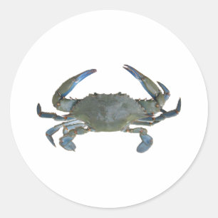 Pegatina Redonda Cangrejo "Jimmy" azul