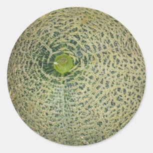 Pegatina Redonda Cantaloupe fresco en el jardín