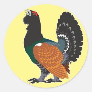 Pegatina Redonda capercaillie