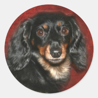 Pegatina Redonda Cara de Dachshund