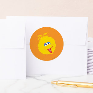Pegatina Redonda Cara de Pájaro Grande