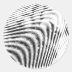 Pegatina Redonda Cara de pug