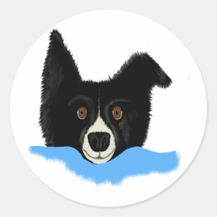 Pegatina Redonda Cara del border collie