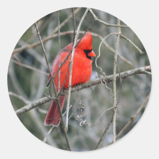Pegatina Redonda Cardenal rojo Escudo