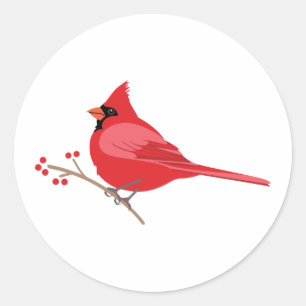 Pegatina Redonda Cardenal septentrional