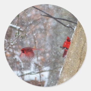 Pegatina Redonda Cardenales en la nieve