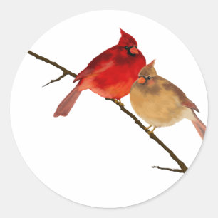 Pegatina Redonda cardenales en una rama