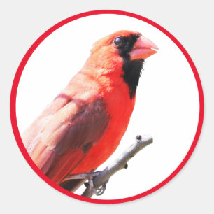 Pegatina Redonda Cardinal