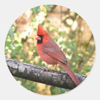 PEGATINA REDONDA CARDINAL MASCULINO