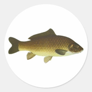 Pegatina Redonda Carp