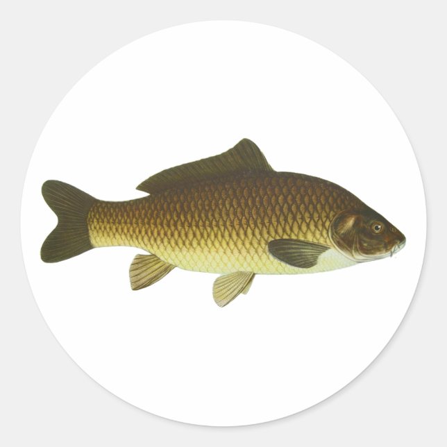 Pegatina Redonda Carp (Anverso)