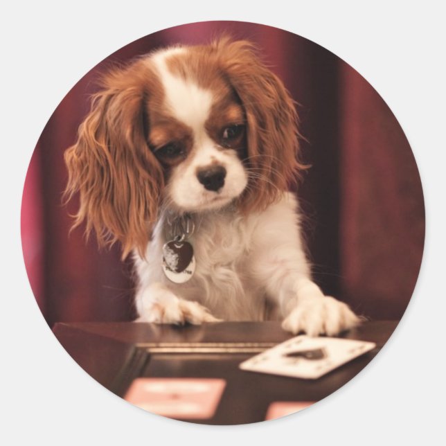 Pegatina Redonda Cartas de reproducción de porción (Anverso)