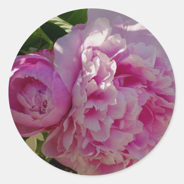 Pegatina Redonda Casa de campo de campo con flores de Pink Peony (Anverso)