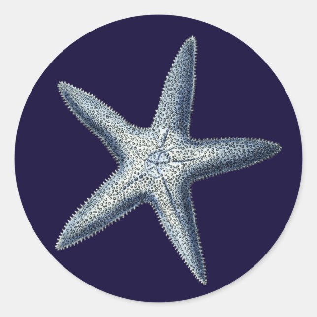 Pegatina Redonda Cáscaras de índigo IV (Anverso)