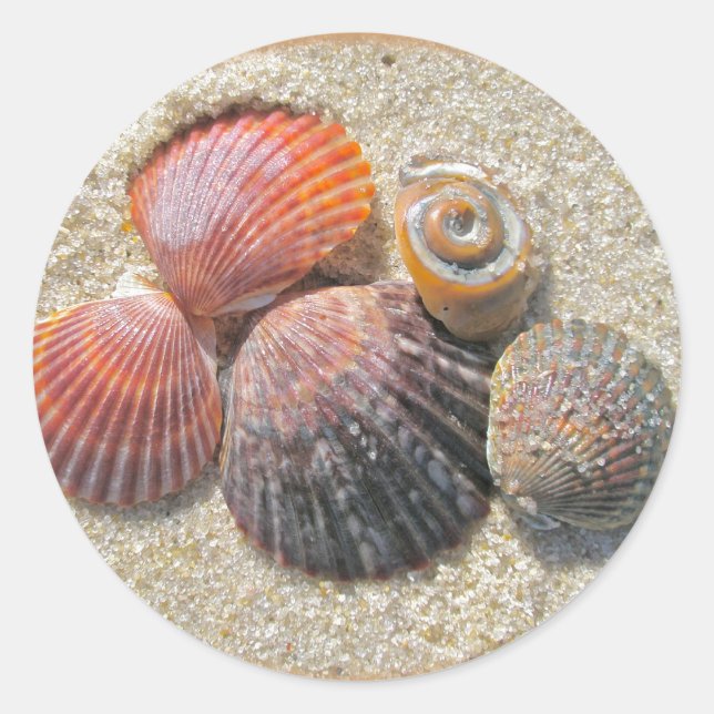Pegatina Redonda Cascos de mar en los elementos de coordenadas de l (Anverso)
