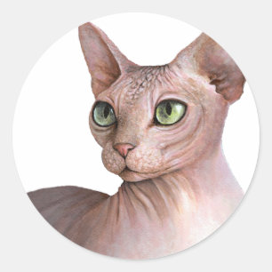 Pegatina Redonda Cat 578 Sphynx white background