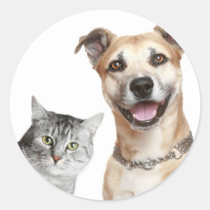 Pegatina Redonda Cat and Dog dice Hey
