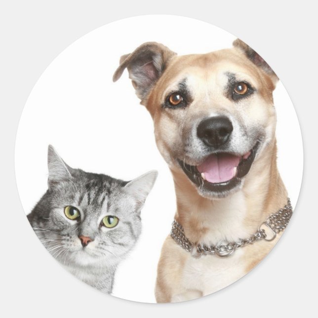 Pegatina Redonda Cat and Dog dice Hey (Anverso)