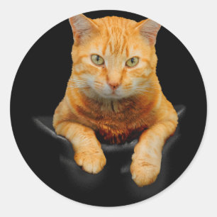 Pegatina Redonda Cat Animals Creative Cat Motif Bag Cat