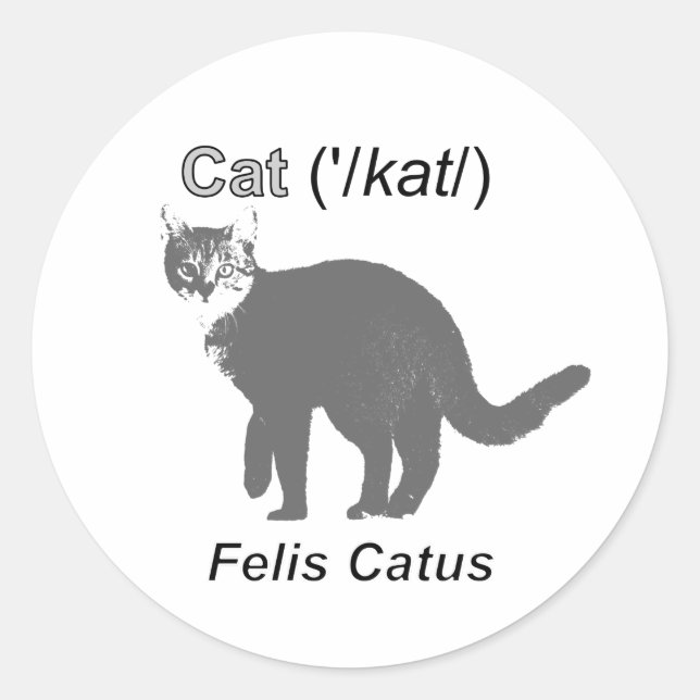 Pegatina Redonda Cat Felis Catus (Anverso)