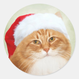 Pegatina Redonda Cat Santa Claus