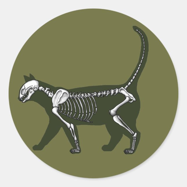 Pegatina Redonda Cat Skeleton (Anverso)