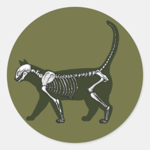 Pegatina Redonda Cat Skeleton