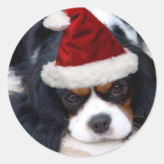 Pegatina Redonda Cavalier King Charles