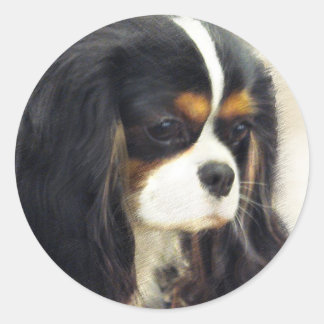 Pegatina Redonda Cavalier King Charles Spaniel