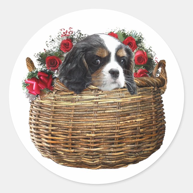 Pegatina Redonda Cavalier King Charles Spaniel (Anverso)